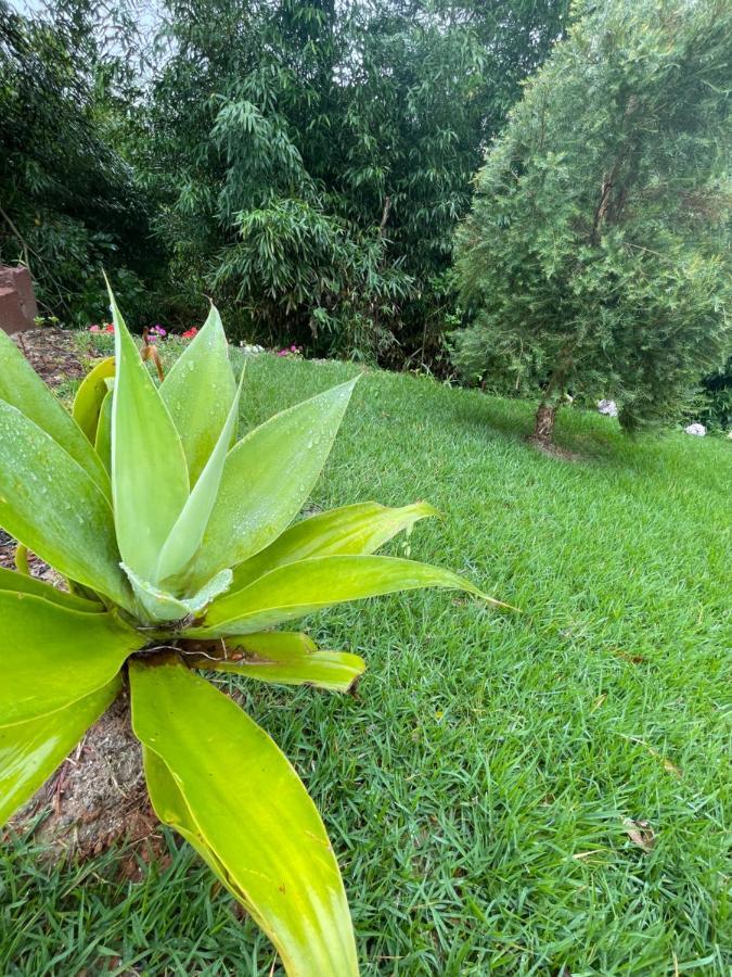 Villa Italia Chale Santo Antônio do Pinhal Zewnętrze zdjęcie